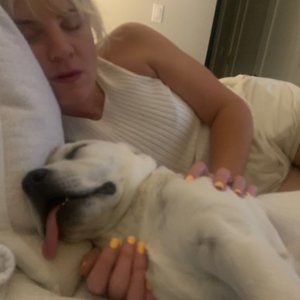 Meet your Posher, Posh